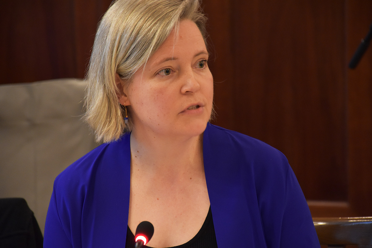 Gesa Geißler, NBG-Gutachterin (95. NBG-Sitzung, 6.3.2025/Berlin-Online) (Quelle: Aygül Cizmecioglu) Gesa Geißler, NBG-Gutachterin (95. NBG-Sitzung, 6.3.2025/Berlin-Online)